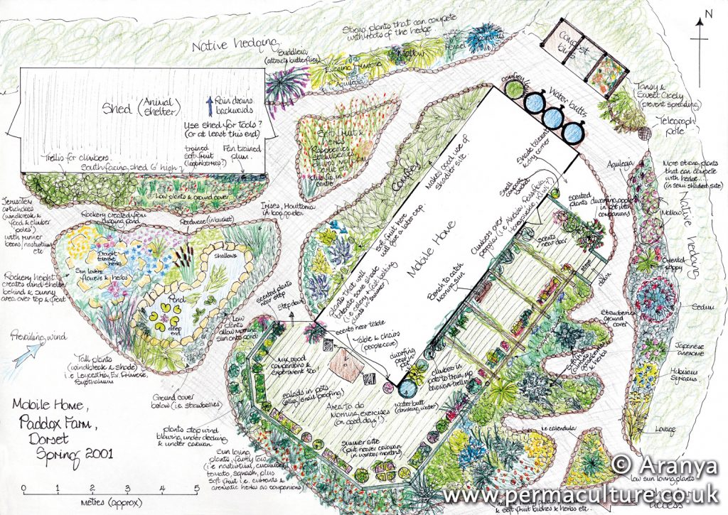 Why Permaculture Needs Design - Permaculture