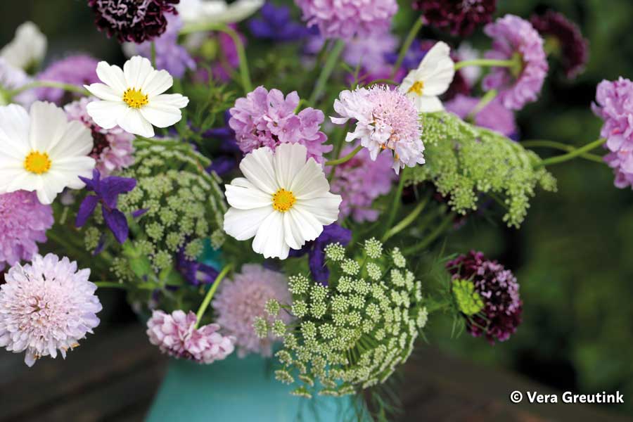 Organic Cut Flowers: Tips for growing your own