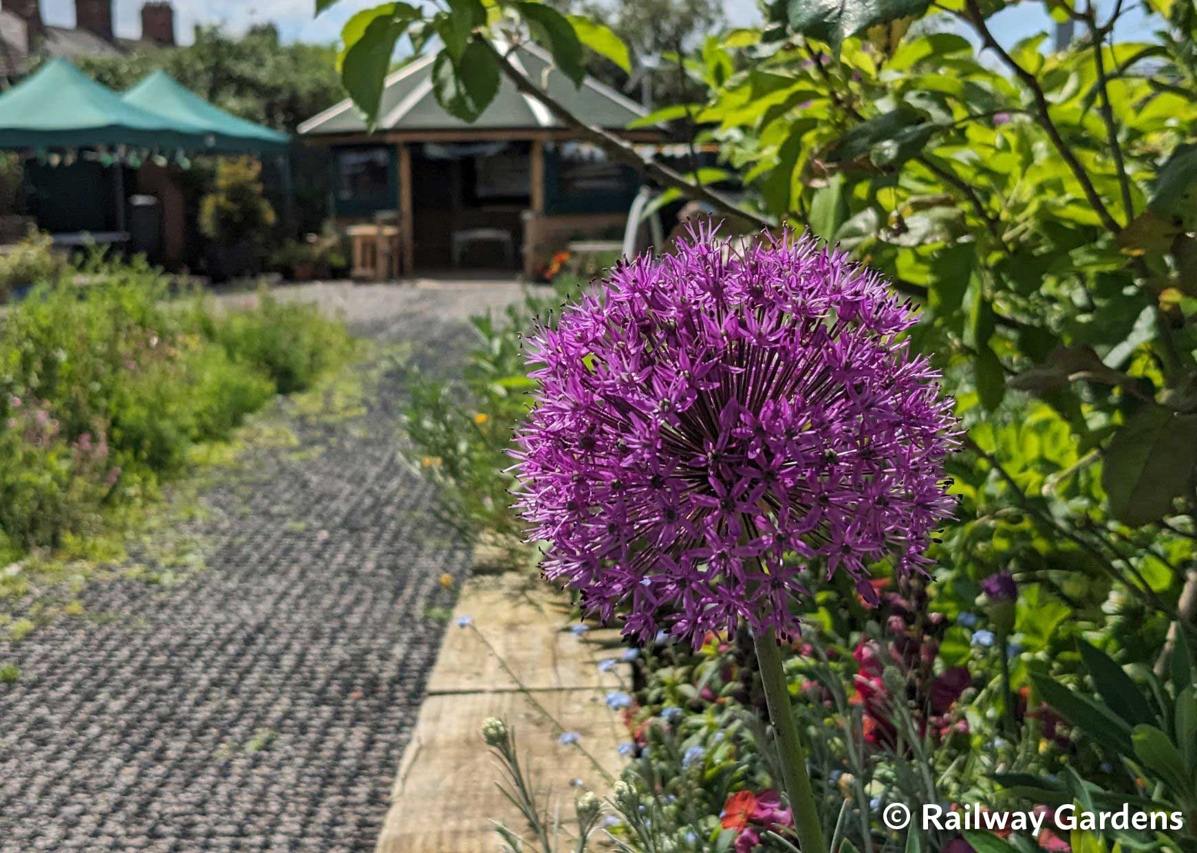 Community Nature Network launches to support community-led green spaces by offering funding opportunities, free resources, guidance and peer to peer support.