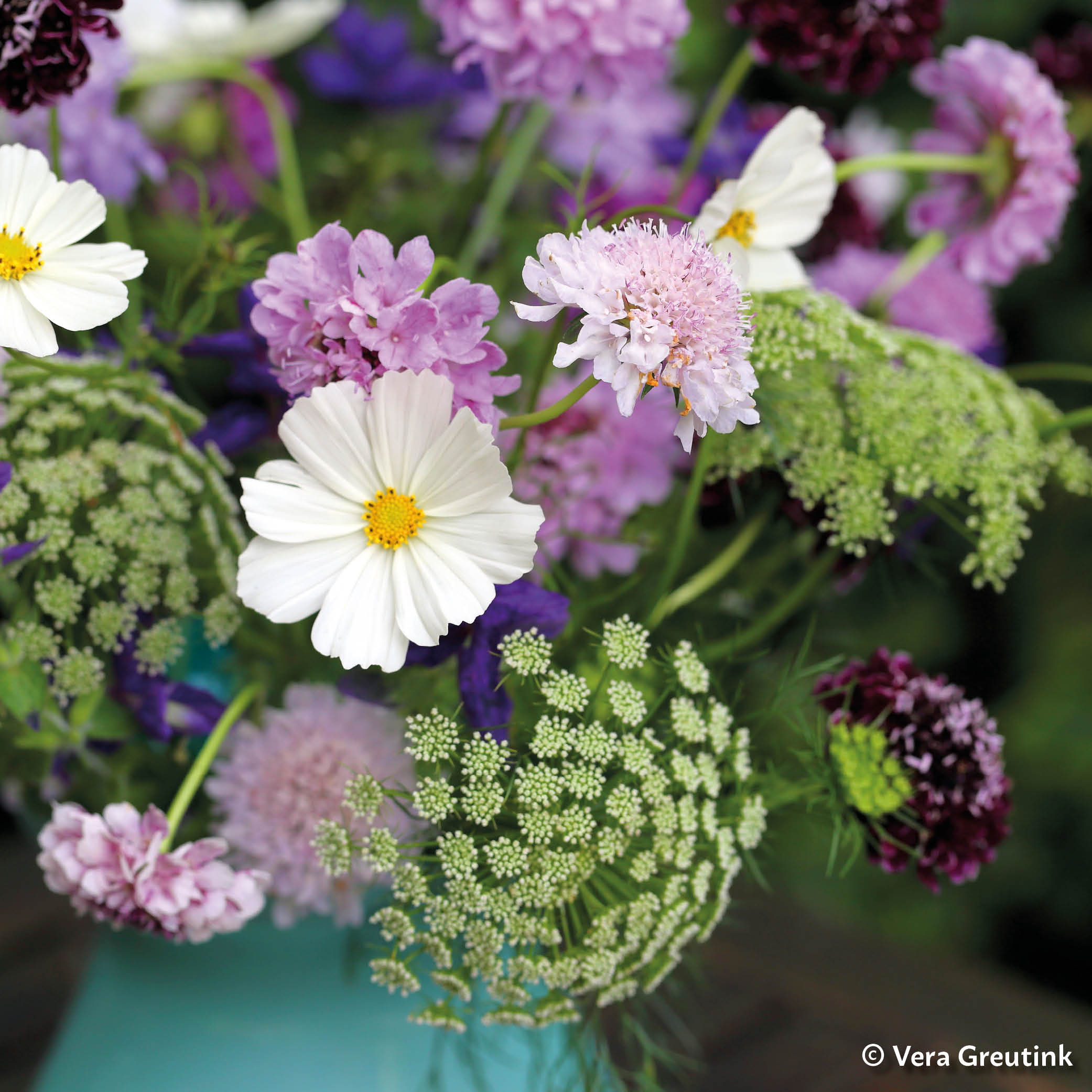 Growing your own organic cut flowers can reduce your carbon footprint and give you beautiful and seasonal bouquets.