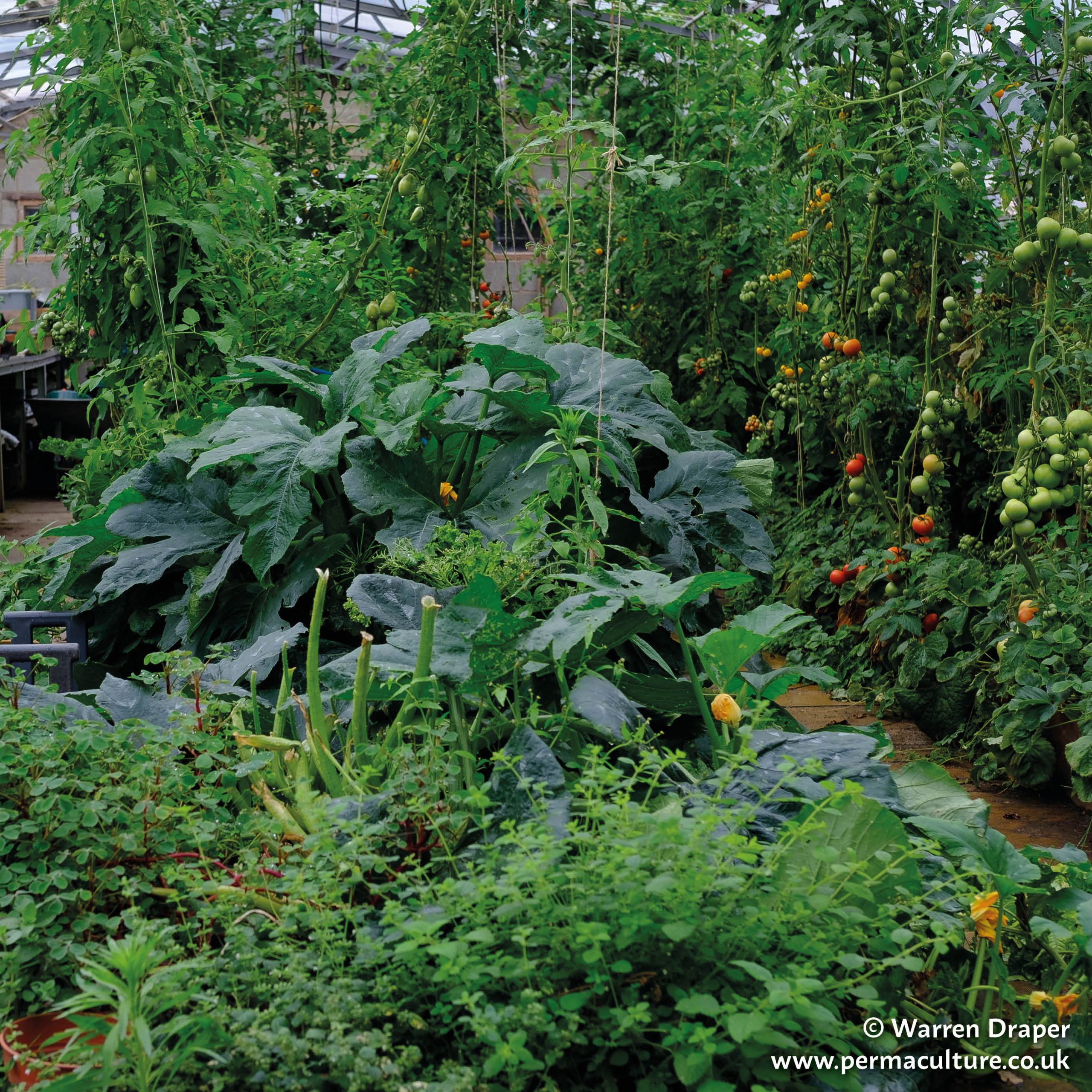 The Upcycled Urban Farm